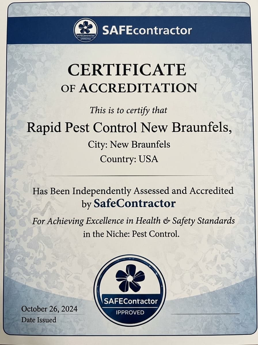 Create_certificate_image_202604081118 (1)